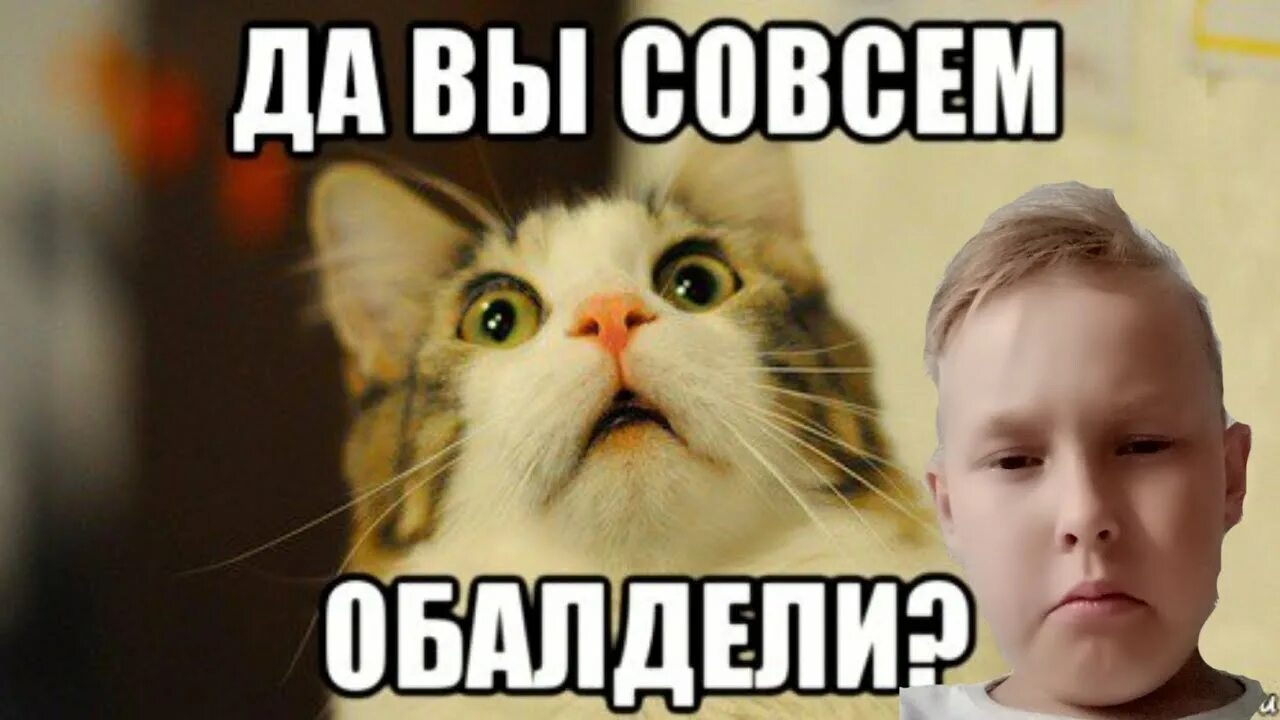 Они там совсем. Ну вы совсем. обалдел мем. мем да вы там совсем охренели. совсем обалдели.