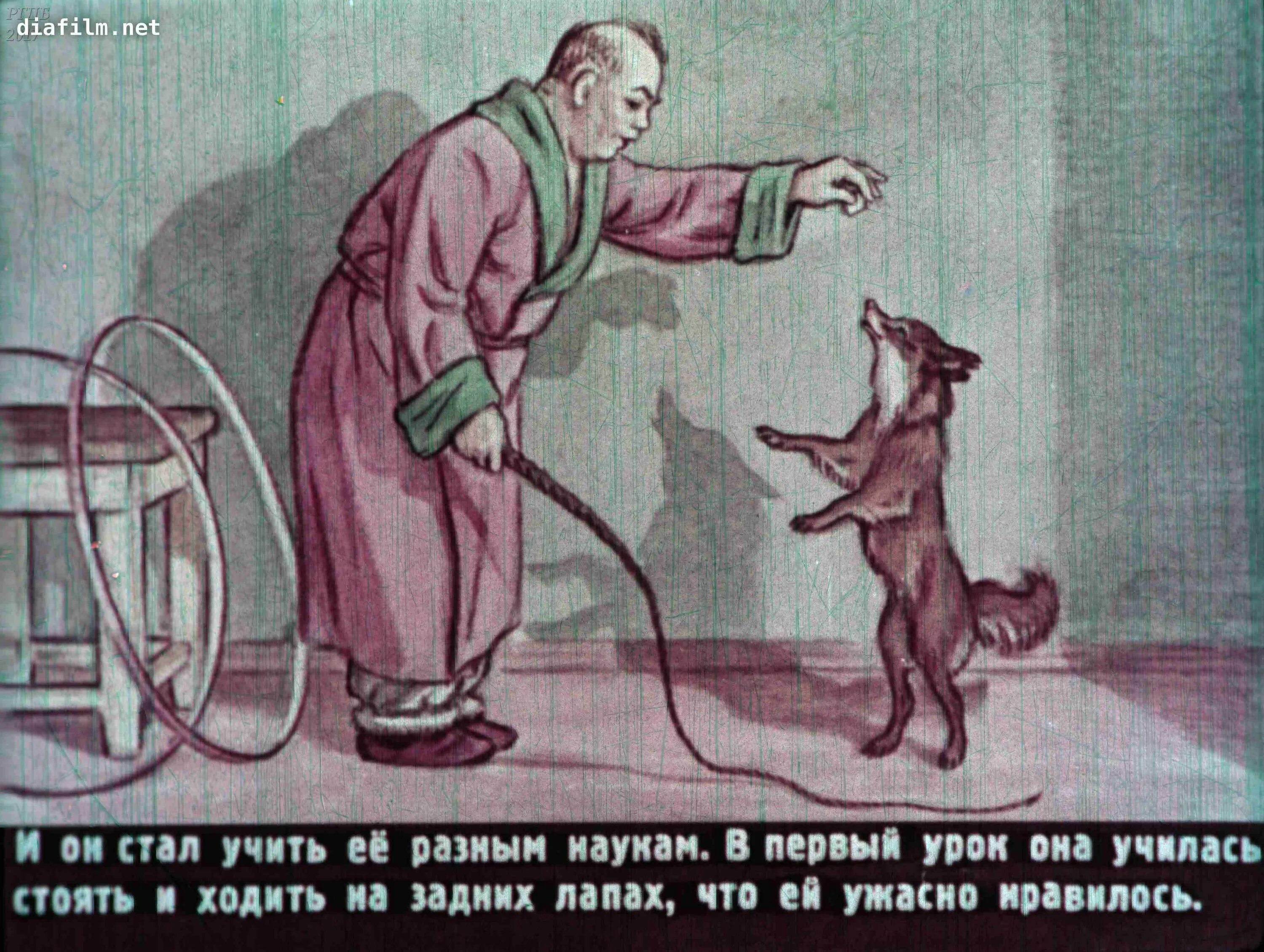 Каштанка цитаты. Иллюстрация к произведению каштанка чехов. собака каштанка чехов а,п\. иллюстрации к рассказу чехова каштанка.
