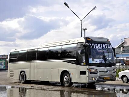 Красноярск агинское расписание 503