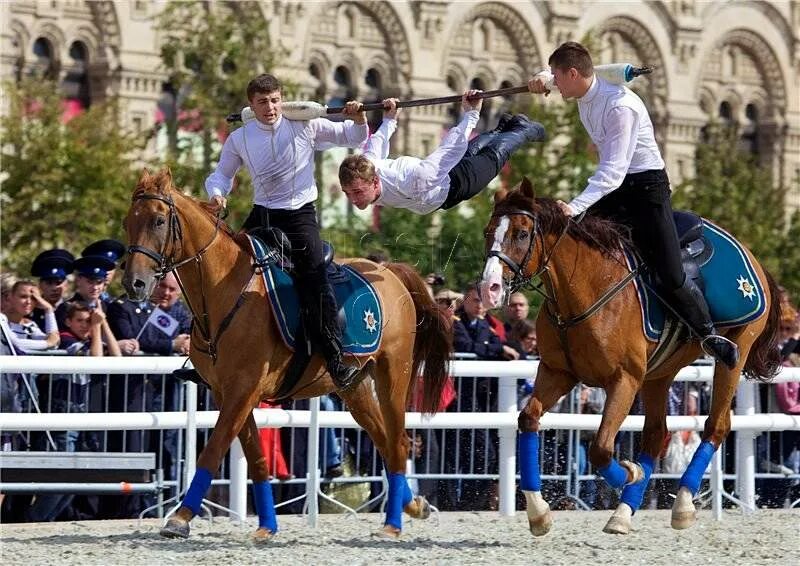 КШВЕ джигитовка. Шоу “Кремлевская школа верховой езды”. КШВЕ. Кремлевская школа верховой езды джигитовка. Кремлевская школа верховой