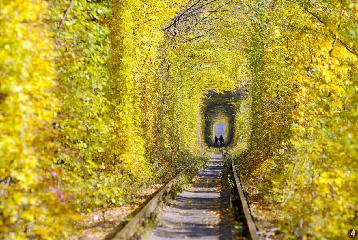 Тоннель любви, клевань, украина. ). Клевань, ривненская обл. Туннель любви. Клевань тоннель любви.