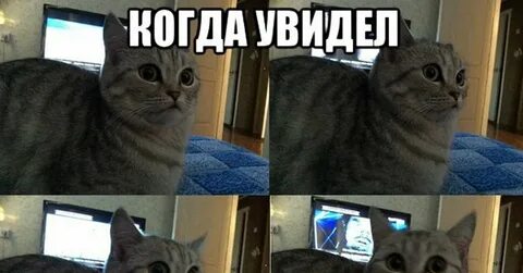 Бывший написал через неделю