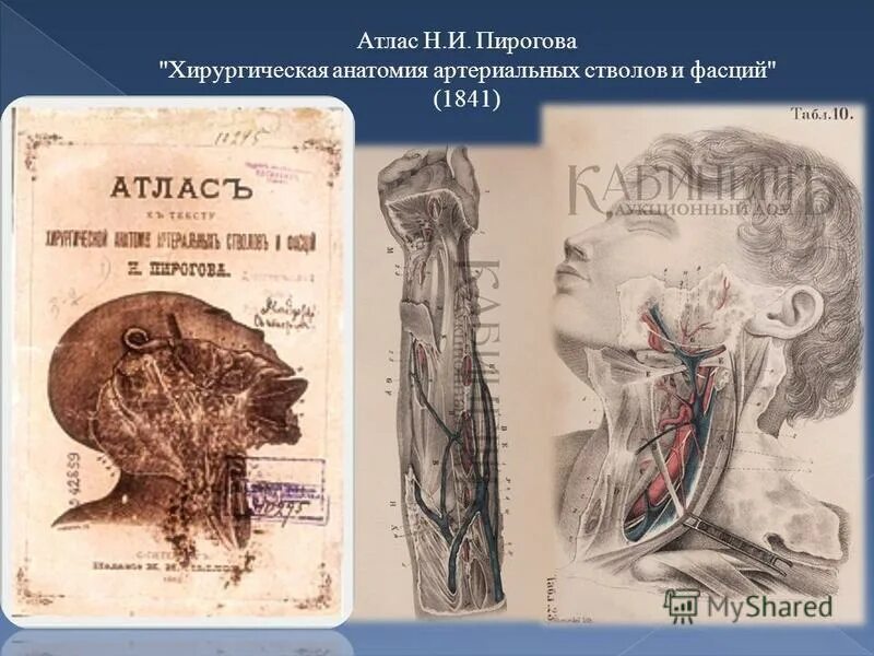 Атлас топографической анатоми. Автор атласа топографической анатомии иллюстрированная разрезами. Автор атласа топографической анатомии иллюстрированная разрезами. Автор атласа топографической анатомии иллюстрированная разрезами. Автор атласа топографической анатомии иллюстрированная разрезами.