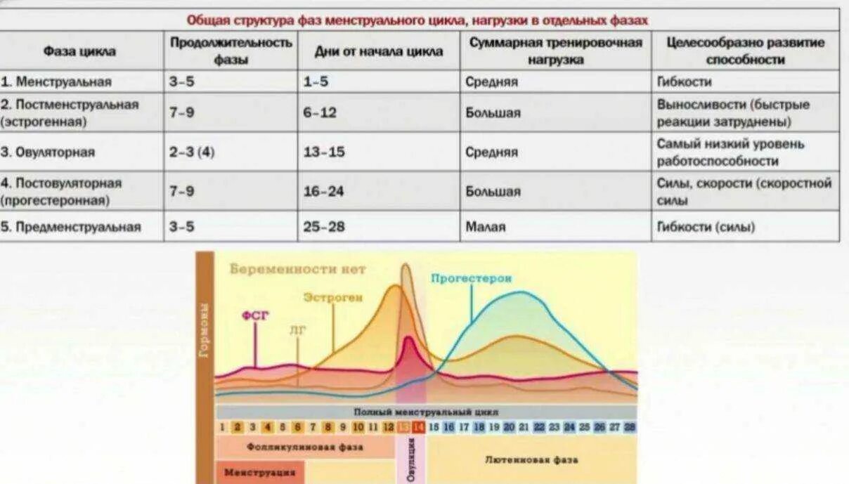 Интенсивность месячных