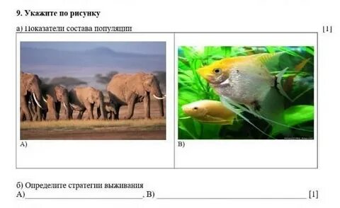 Установите соответствие 1 популяция