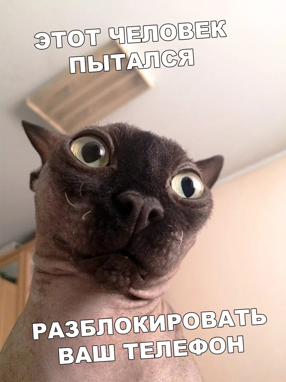 Тогда пытайся