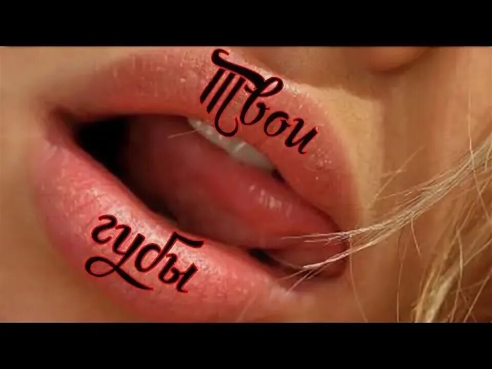 Губы губы губы твои губы мало. Губы песня. песни про губы список. губы твоей мечты.