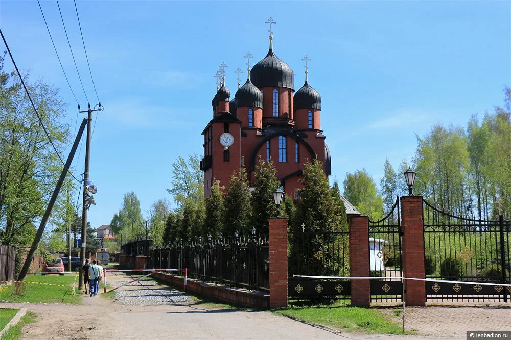 новости токсово ленинградская