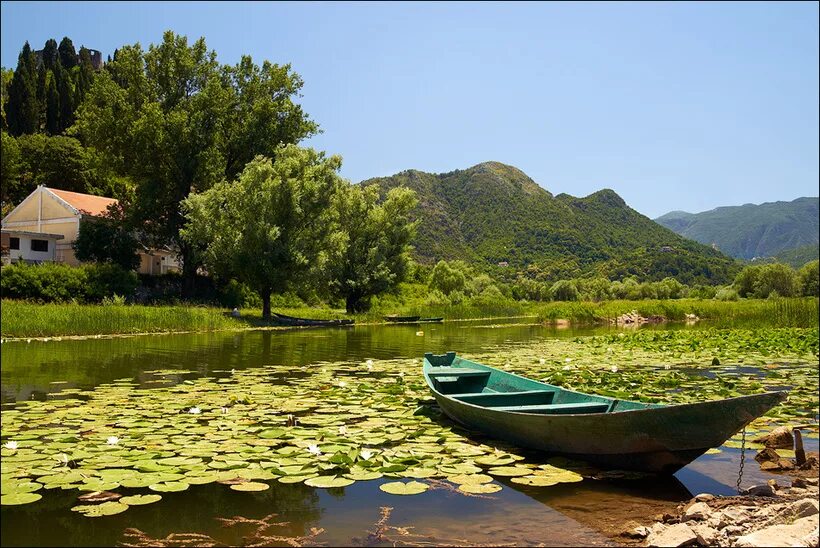 Lake Skadar National Park travel - Lonely Planet Montenegro, Europe