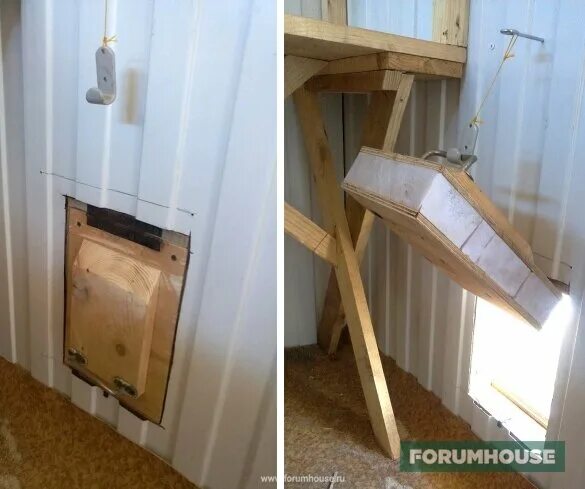 Дверь в курятник своими. Дверца для курятника. Входные двери для курятника. Дверь в курятник своими. Дверь в курятник своими.