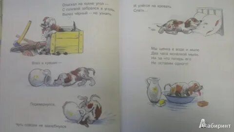 Михалков про вечеринку