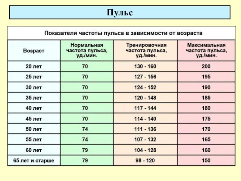 Пульс утром 50. Зависимость пульса от давления таблица. Какой нормальный пульс должен быть у человека. Показатели пульса по возрастам у женщин. Нормы пульса по возрасту.