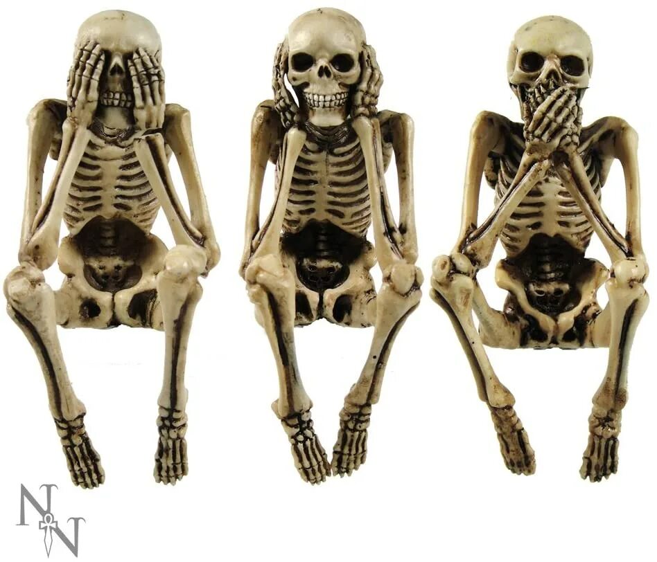 Maximum skeleton special. Maximum skeleton special