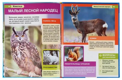 Практические работы животный мир