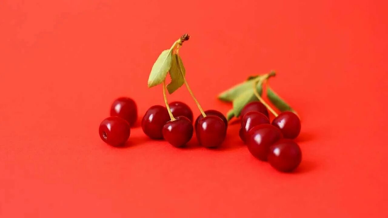 Вишня или черешня. Королевская черешня. Черри вишня красная. Ягоды вишни мелкие. Маленькая вишня.