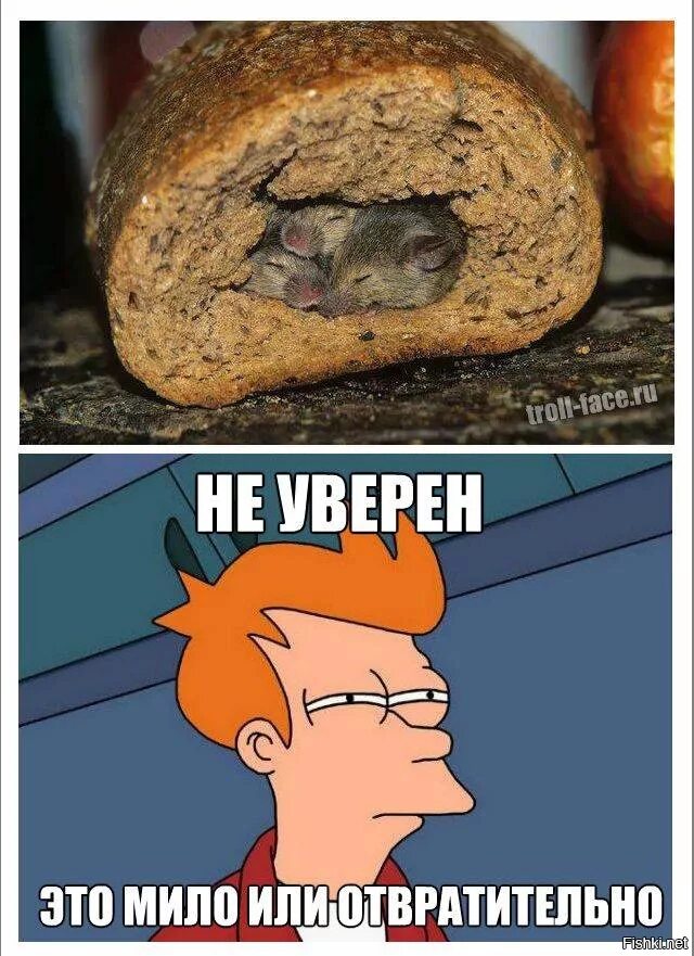 Столько отвратительных идей
