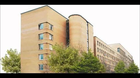 Генетический институт