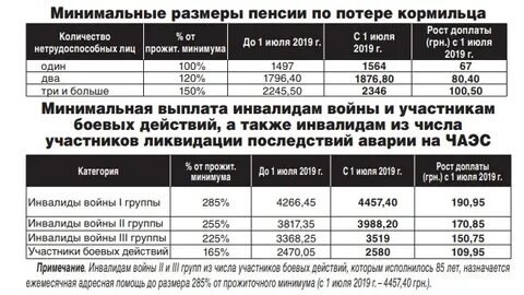 Сколько получают пенсию по потере кормильца 2024