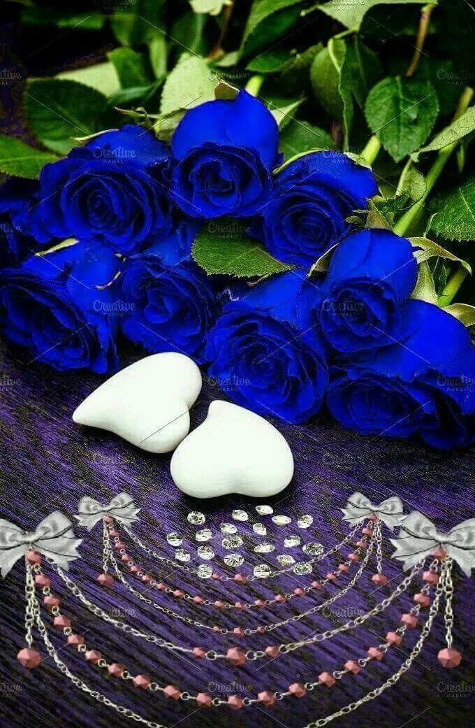 Кирмизи гуллар. Синие розы с пожеланиями. Красивые синие цветы. Очень красивый синий цветок.