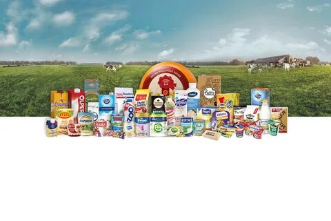 Our brands