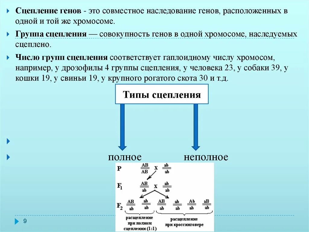 Сцепленное наследование неполное сцепление. Сцепление наследование признаков. Группы сцепления. Сцепленное наследование признаков группы сцепления. Полное сцепление генов схема.