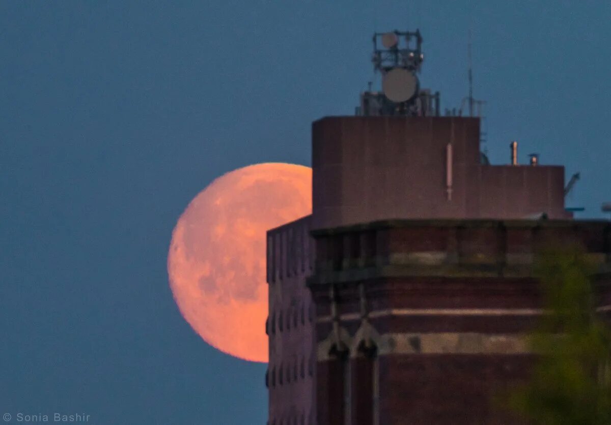 2002. 1999. Луна в 13 ноября 2005 года. Лунная 27. Фаза луны 20.