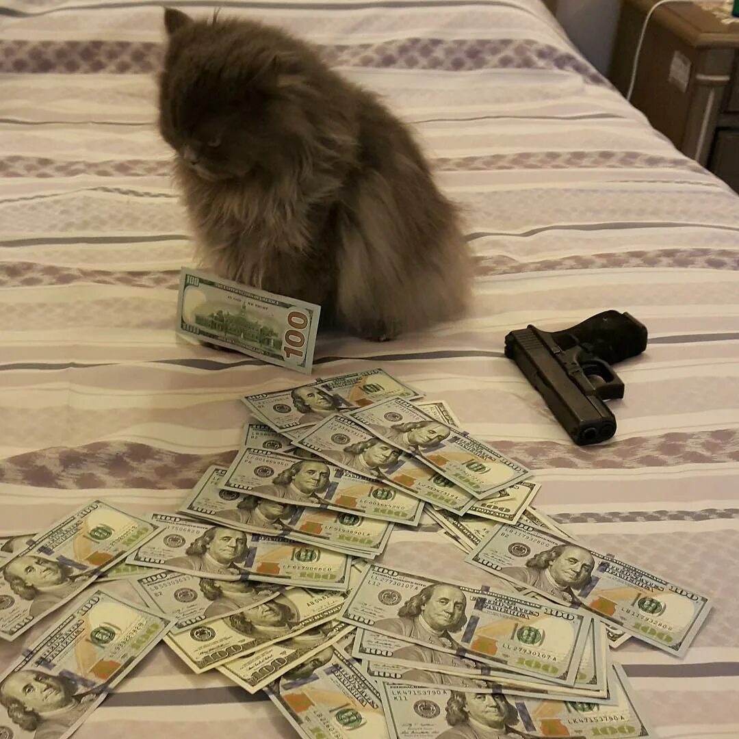 Богатство животных