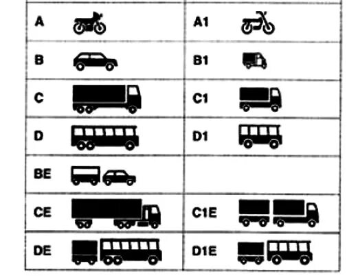 Категория в1. Категория d1e водительских прав. Категории водительских прав категории а1 в1. Значки категорий транспортных средств. Чем отличается категория а от б