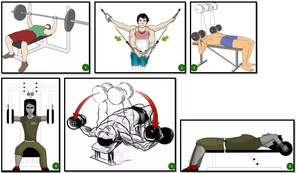 Упражнения на грудные мышцы в тренажерном зале. Лучшие упражнения на грудные мышцы в тренажерном. Упражнения для тренировки грудных мышц в тренажёрном зале для. Упражнения на грудные мышцы для мужчин в тренажерном зале.