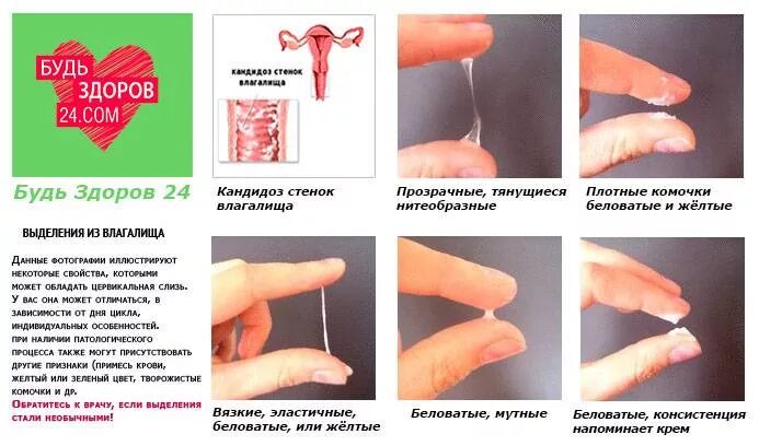 Почему нет выделений перед месячными