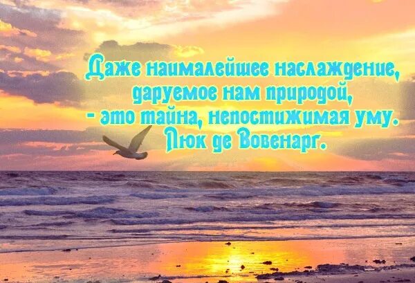 Природа в моей жизни это