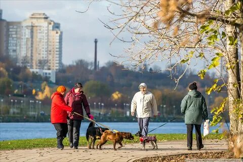 Прогулки домами москва