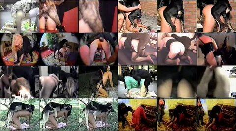 Slideshow alison zoofilia 