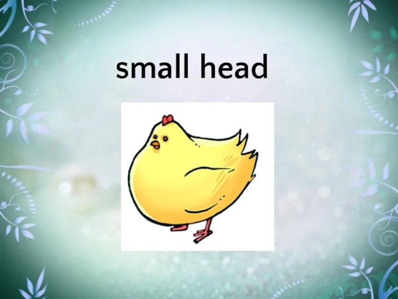 Как по английски small. Как по английски small head. 3 Класс small head. Is your head small?.