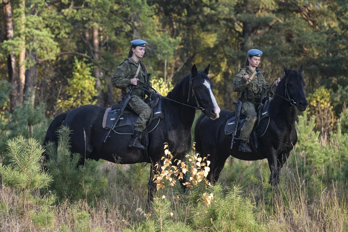 Федерация коне. Военный конь. Конные войска. Конные войска России. Военный на коне.