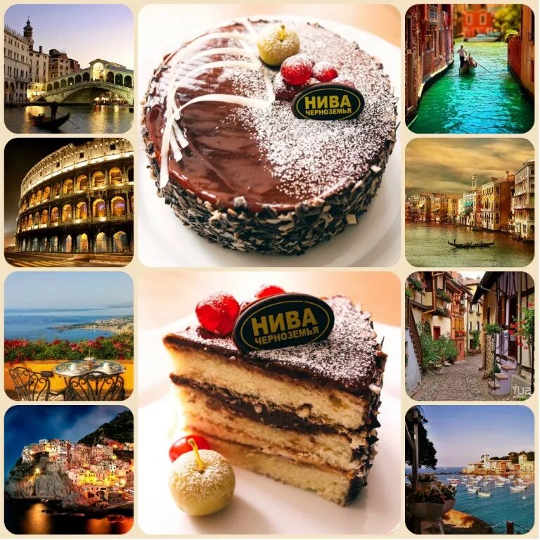 нива черноземья белгород торты. нива черноземья курск торты. нива черноземья белгород. торт фирменный нива черноземья. нива черноземья торты адреса.