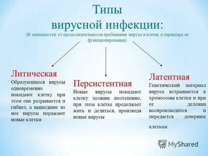 Типы инфекций вызываемые вирусами