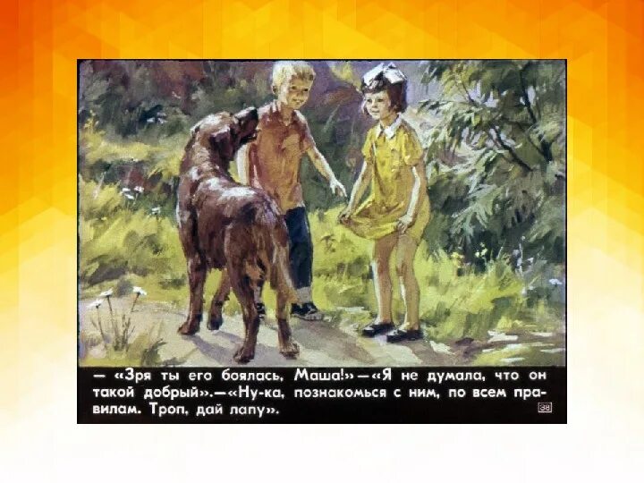 Краткое содержание каждый мечтает о собаке железников. Троп железников. иллюстрации троп железняков. иллюстрации к рассказу троп. рассказ троп железников.