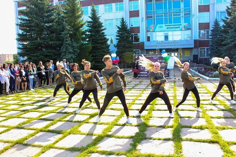 Филиал башкирского государственного университета. Бгу стерлитамак. стерлитамакский филиал башкирского государственного университета. филиал бгу в стерлитамаке. сф башгу стерлитамак.