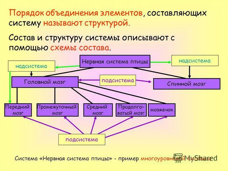 Порядок объединения элементов системы. Порядок объединения элементов системы