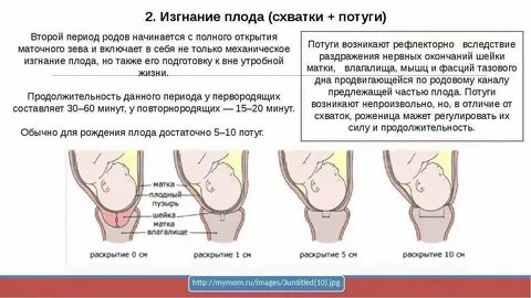 Как понять роды или нет