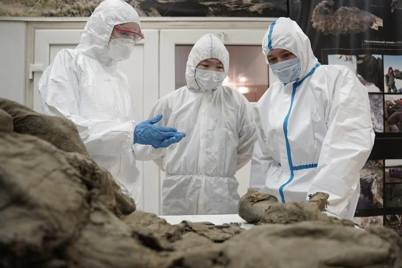 Ледники и снега. В древнем льду нашли неизвестные науке вирусы. Вирусы во льдах. Древние вирусы во льдах. Следы нло в антарктиде.