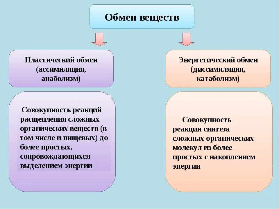 Два типа обмена