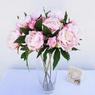 Искусственные пионы