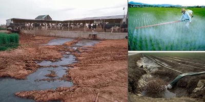 загрязнение воды нефтью