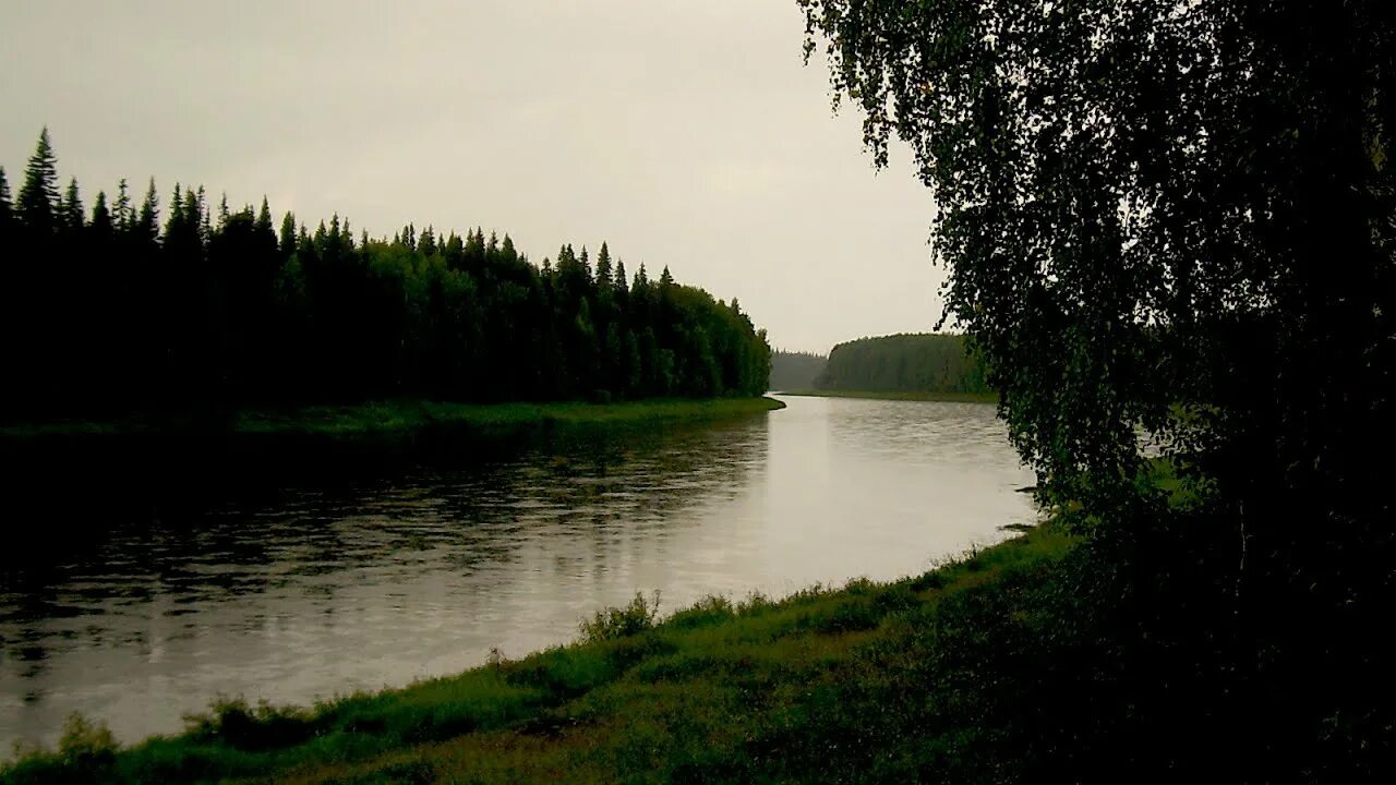 Река Пинега Архангельская. Северная Двина река Усть-Пинега. Река Вага Архангельской области. Речка Пинега Архангельская область.