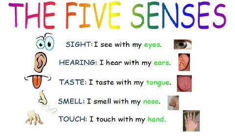 We see our eyes