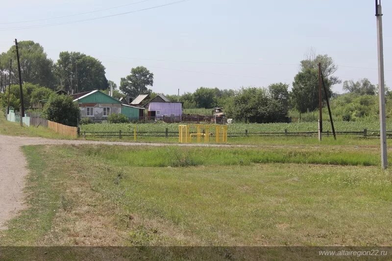 Кашкарагаиха Алтайский. Село Кашкарагаиха Алтайский край. Кашкарагаиха Тальменский район. Кашкарагаиха алтайский край тальменский