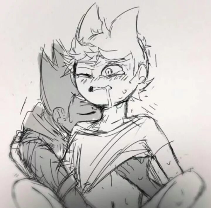 Тома актив. ТОМТОРД sinsworld. Эддсворлд том и Торд 18. Шип Tord x Tom 18. Eddsworld Tom x Tord.