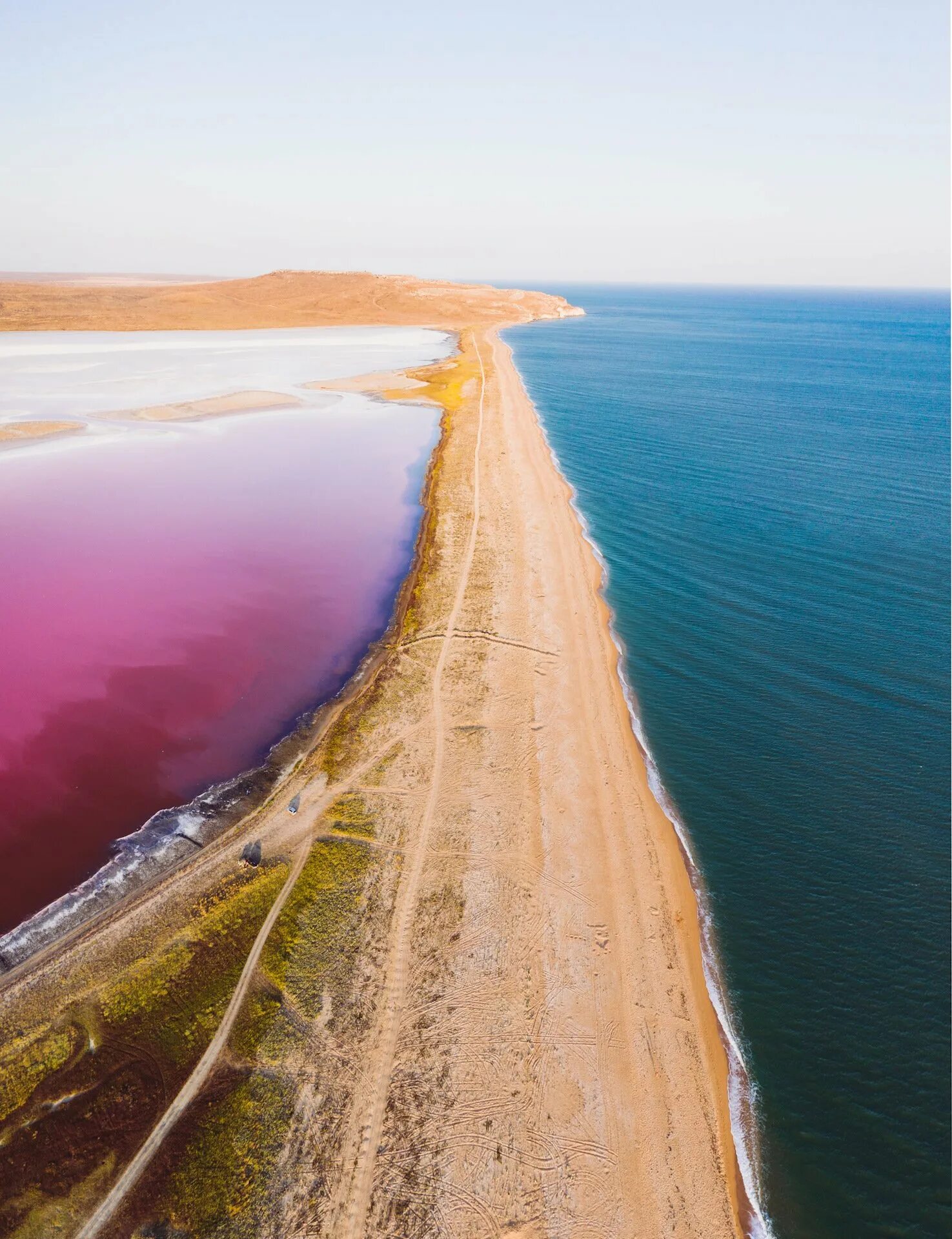 Розовый водоем в крыму. Сасык Сиваш озеро. Мыс Опук Кояшское озеро. Тобечикское озеро Керчь. Озеро Сасык Евпатория.